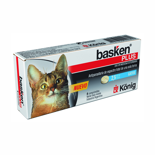 Basken Plus Gatos