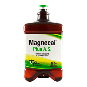 MAGNECAL PLUS ZINC X 500